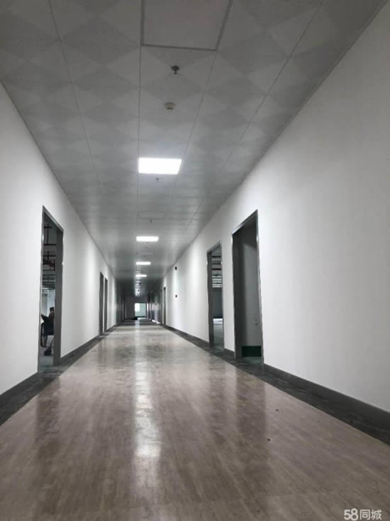 保利中创孵化器写字楼图片1466