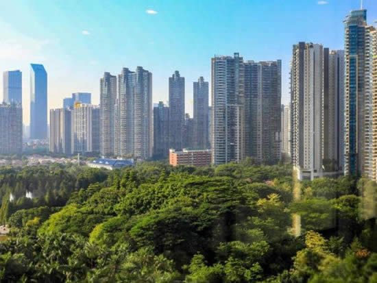 珠光新城国际写字楼图片1771