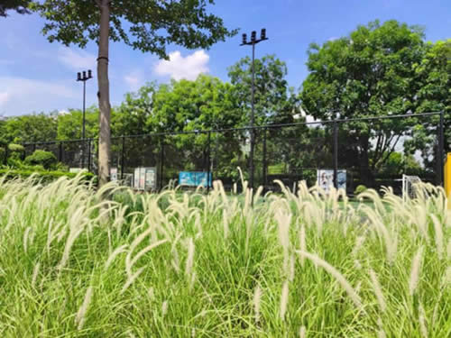  元岗智汇park写字楼图片2155