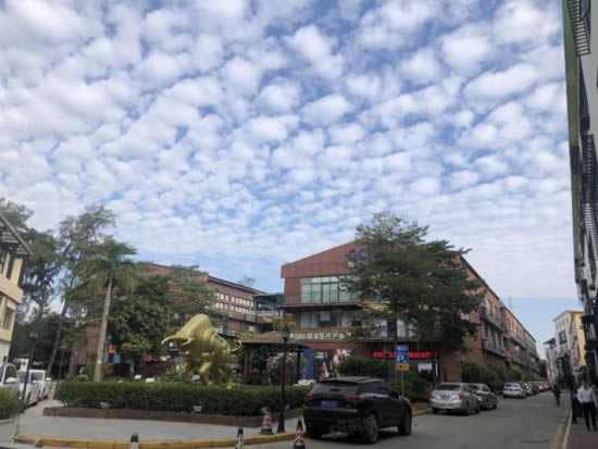 T0+科创营写字楼图片2813