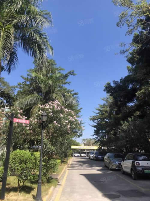 T0+科创营写字楼图片2816