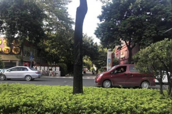 羊城创意园写字楼图片3218