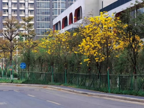  元岗智汇park写字楼图片3596