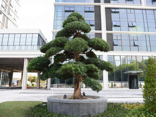 20240627095359661.jpg写字楼图片13995