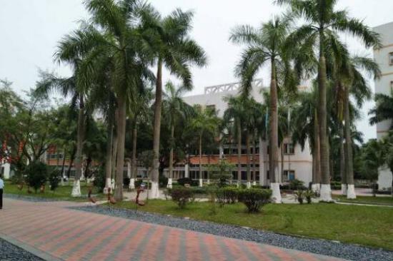 一季度广州写字楼净吸纳量19.6万平，天河写字楼市场需求旺盛