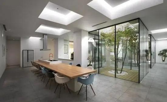 办公室里的绿色植物也是另一种风景