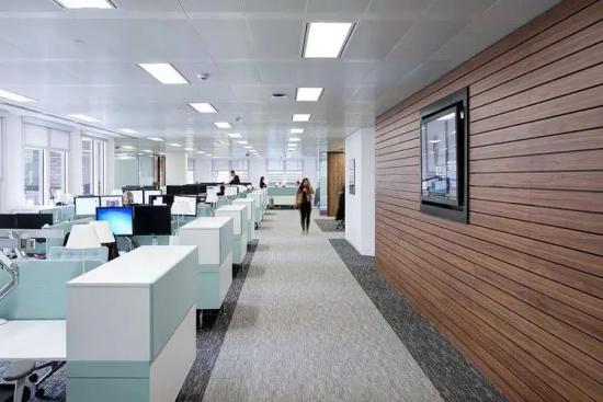 办公室的照明很精致。这个设计是最吸引人的